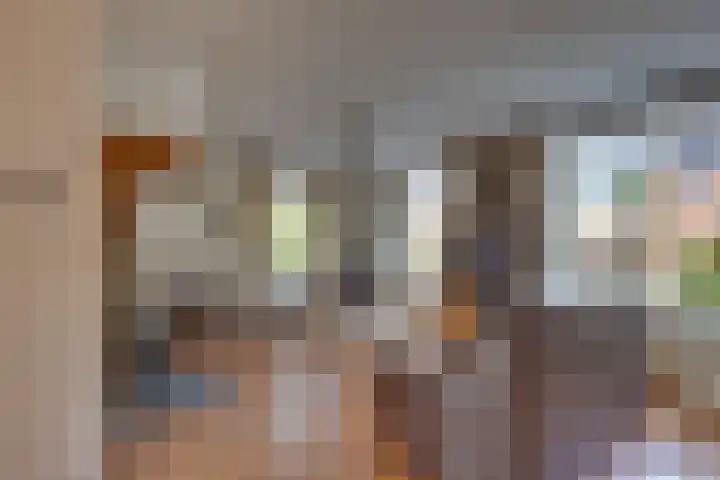Kalmoes 18 Nieuwleusen thumbnail 11