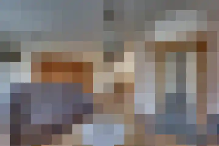Kalmoes 18 Nieuwleusen thumbnail 12