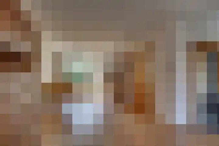Kalmoes 18 Nieuwleusen thumbnail 13