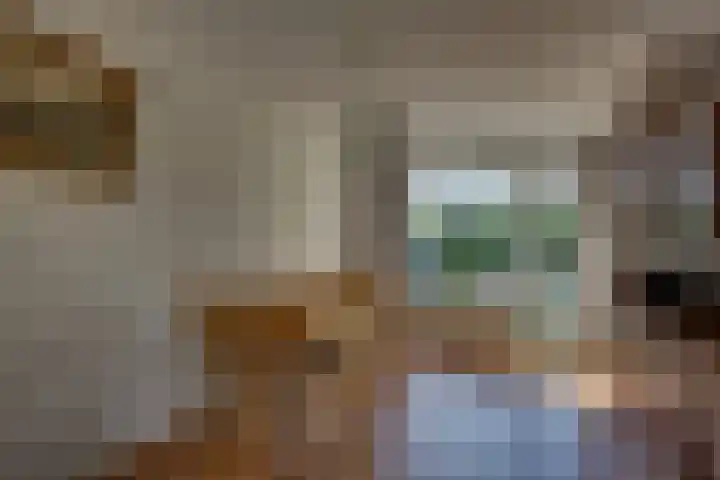 Kalmoes 18 Nieuwleusen thumbnail 14