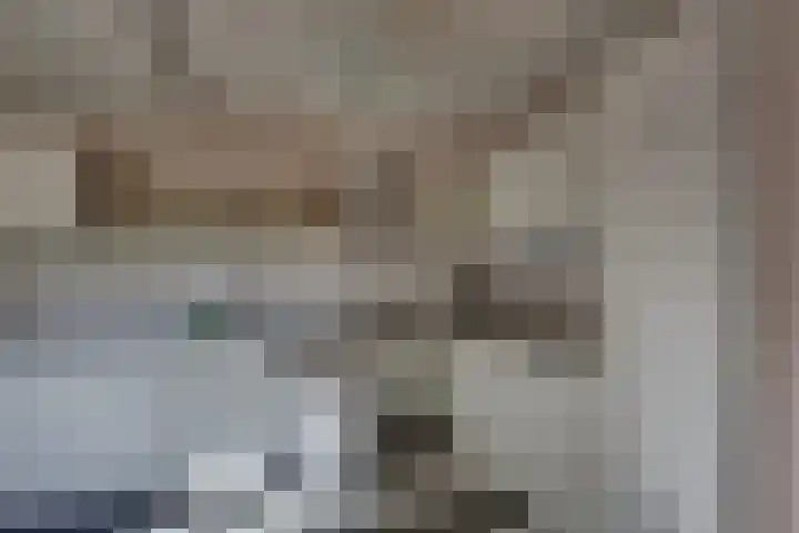 Kalmoes 18 Nieuwleusen thumbnail 16