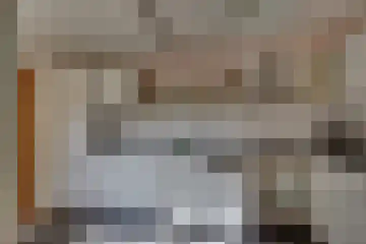 Kalmoes 18 Nieuwleusen thumbnail 17