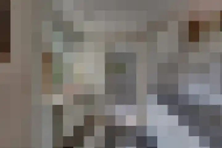 Kalmoes 18 Nieuwleusen thumbnail 18
