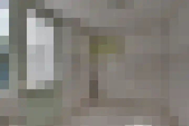 Kalmoes 18 Nieuwleusen thumbnail 19