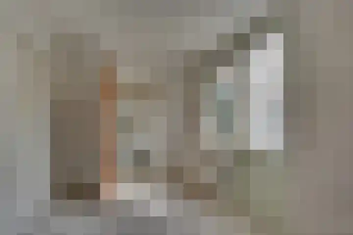 Kalmoes 18 Nieuwleusen thumbnail 20