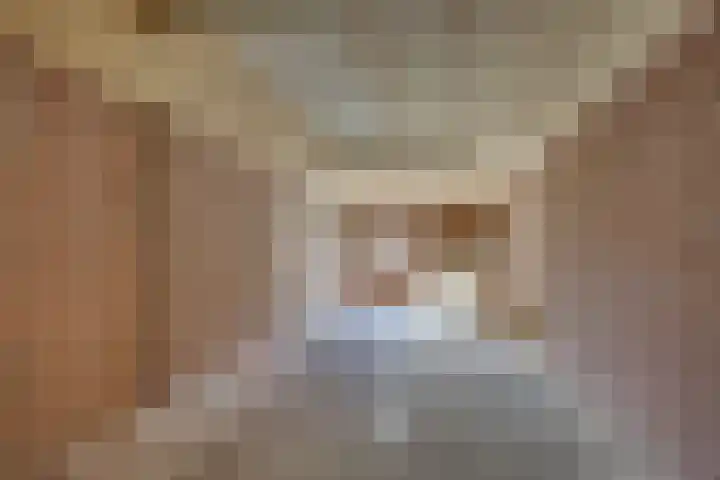 Kalmoes 18 Nieuwleusen thumbnail 22