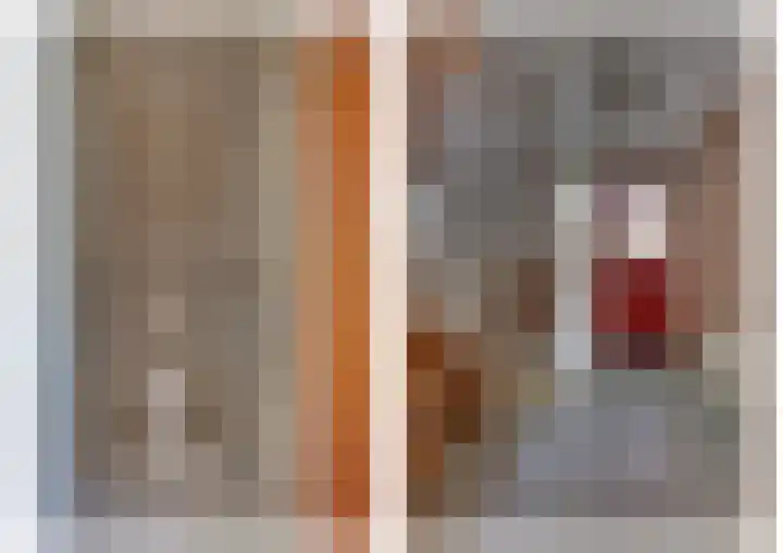 Kalmoes 18 Nieuwleusen thumbnail 23