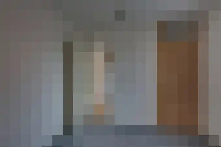 Kalmoes 18 Nieuwleusen thumbnail 25