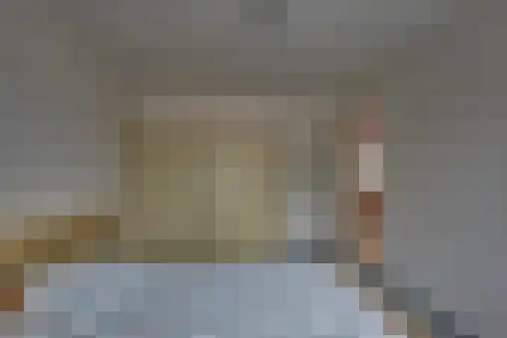 Kalmoes 18 Nieuwleusen thumbnail 27
