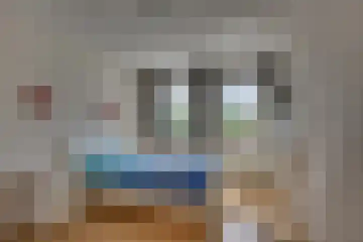 Kalmoes 18 Nieuwleusen thumbnail 28
