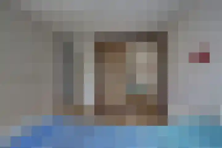 Kalmoes 18 Nieuwleusen thumbnail 29