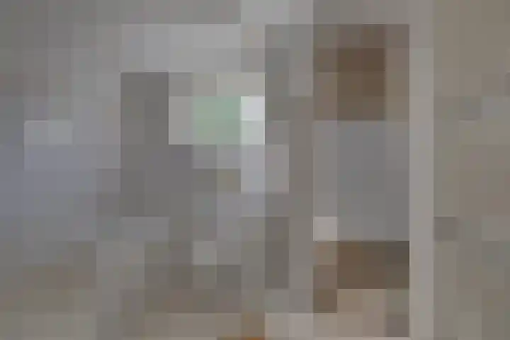 Kalmoes 18 Nieuwleusen thumbnail 30