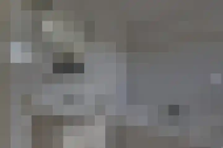 Kalmoes 18 Nieuwleusen thumbnail 31