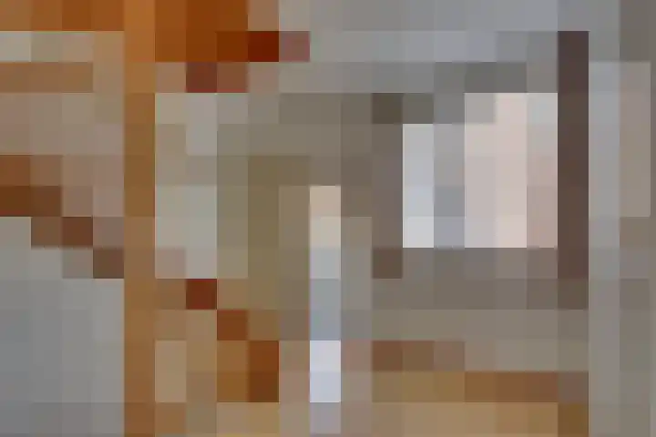 Kalmoes 18 Nieuwleusen thumbnail 32