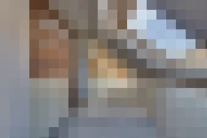 Kalmoes 18 Nieuwleusen thumbnail 33
