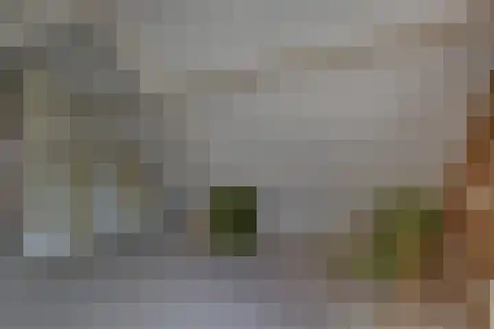 Kalmoes 18 Nieuwleusen thumbnail 34