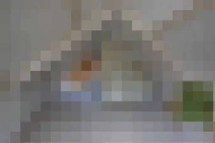 Kalmoes 18 Nieuwleusen thumbnail 35