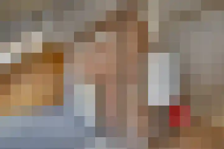 Kalmoes 18 Nieuwleusen thumbnail 36