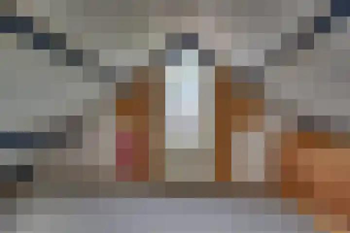 Kalmoes 18 Nieuwleusen thumbnail 37
