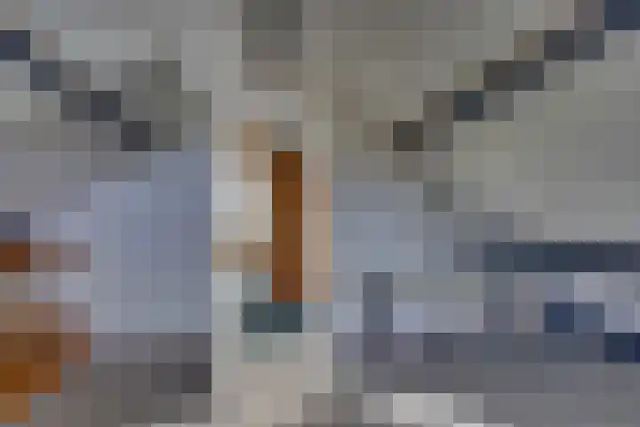 Kalmoes 18 Nieuwleusen thumbnail 38