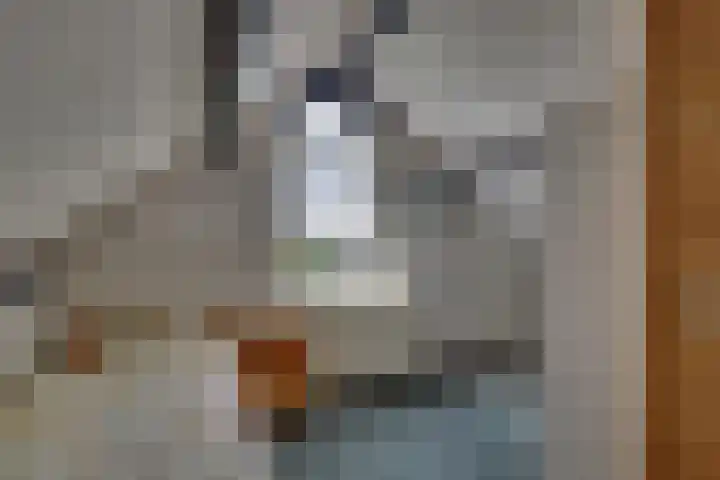 Kalmoes 18 Nieuwleusen thumbnail 39