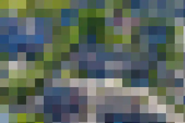 Kalmoes 18 Nieuwleusen thumbnail 4
