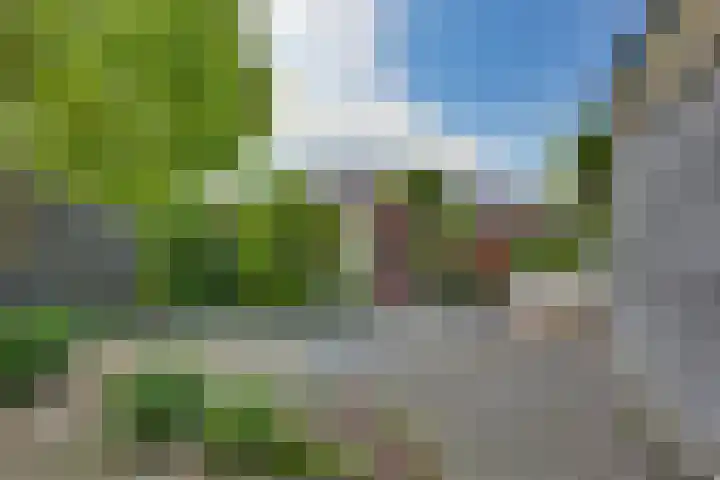 Kalmoes 18 Nieuwleusen thumbnail 41
