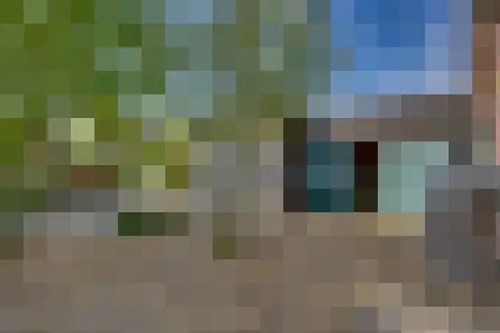 Kalmoes 18 Nieuwleusen thumbnail 42