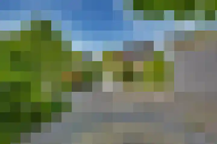 Kalmoes 18 Nieuwleusen thumbnail 43