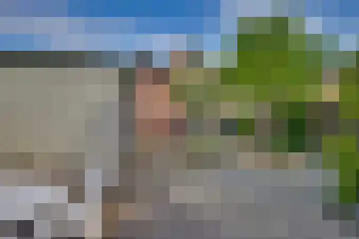 Kalmoes 18 Nieuwleusen thumbnail 44