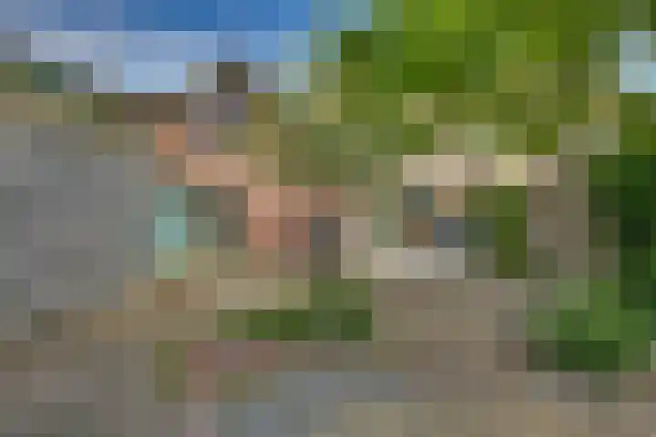 Kalmoes 18 Nieuwleusen thumbnail 45