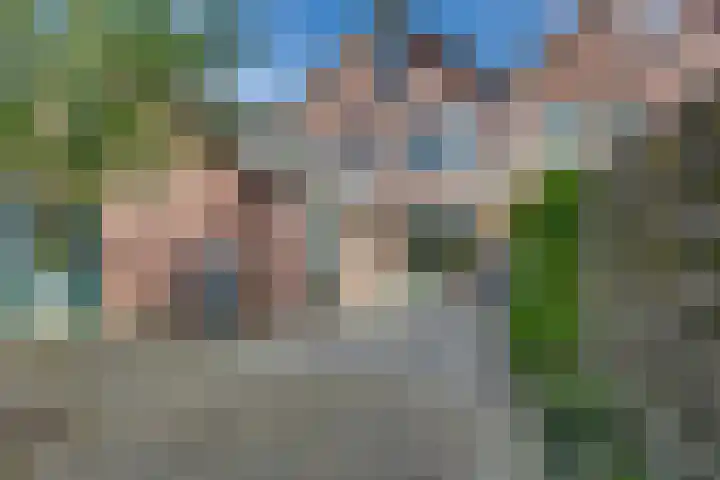 Kalmoes 18 Nieuwleusen thumbnail 46