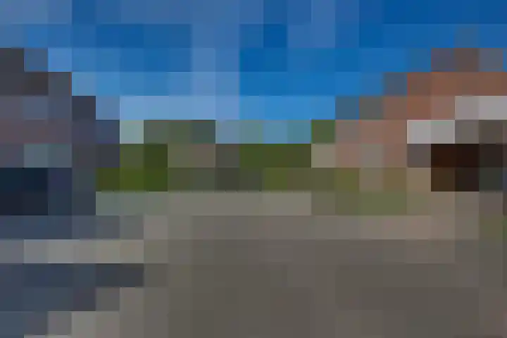 Kalmoes 18 Nieuwleusen thumbnail 49
