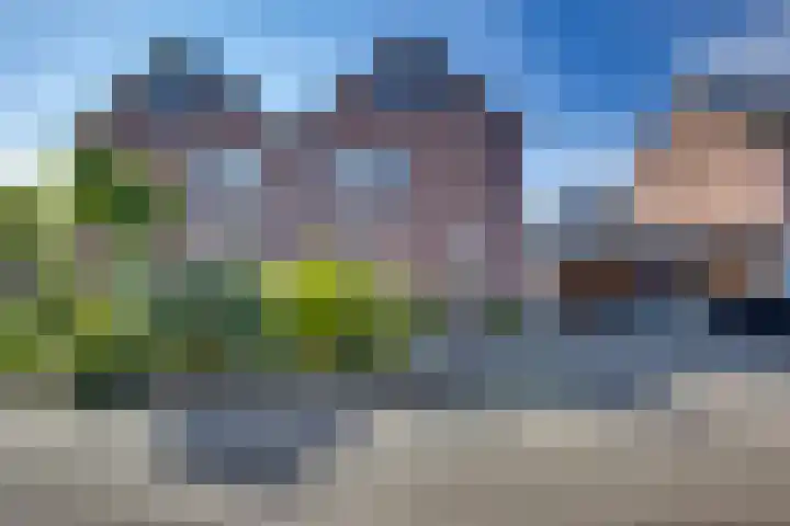Kalmoes 18 Nieuwleusen thumbnail 5