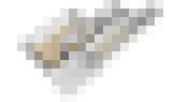 Kalmoes 18 Nieuwleusen thumbnail 52