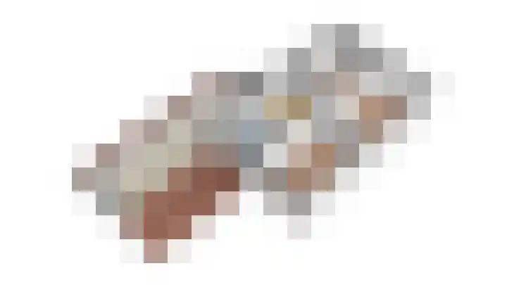 Kalmoes 18 Nieuwleusen thumbnail 57