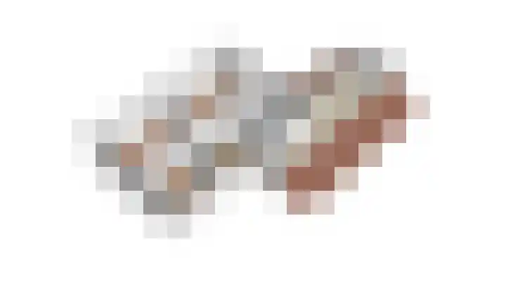 Kalmoes 18 Nieuwleusen thumbnail 58