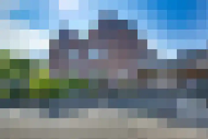 Kalmoes 18 Nieuwleusen thumbnail 6