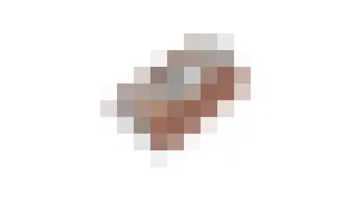 Kalmoes 18 Nieuwleusen thumbnail 64