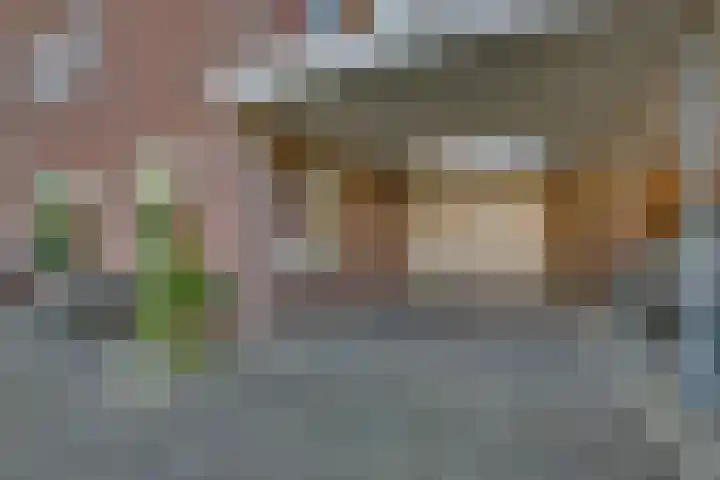 Kalmoes 18 Nieuwleusen thumbnail 7