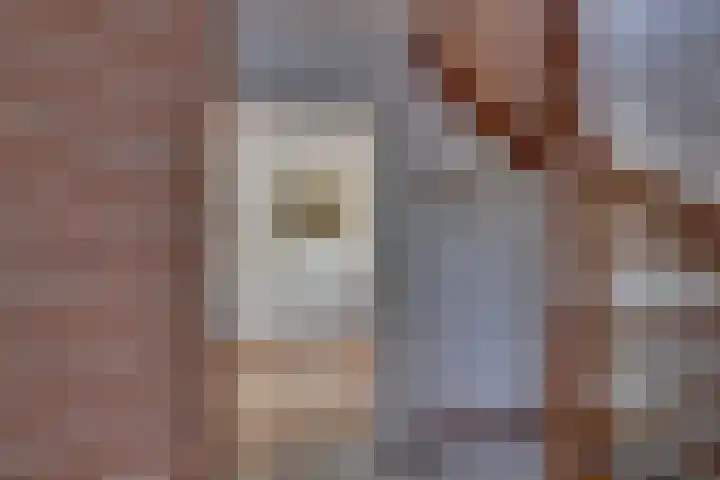 Kalmoes 18 Nieuwleusen thumbnail 9