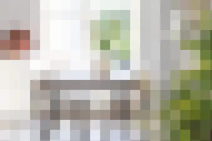 Kalmoes 2 Drachten thumbnail 11