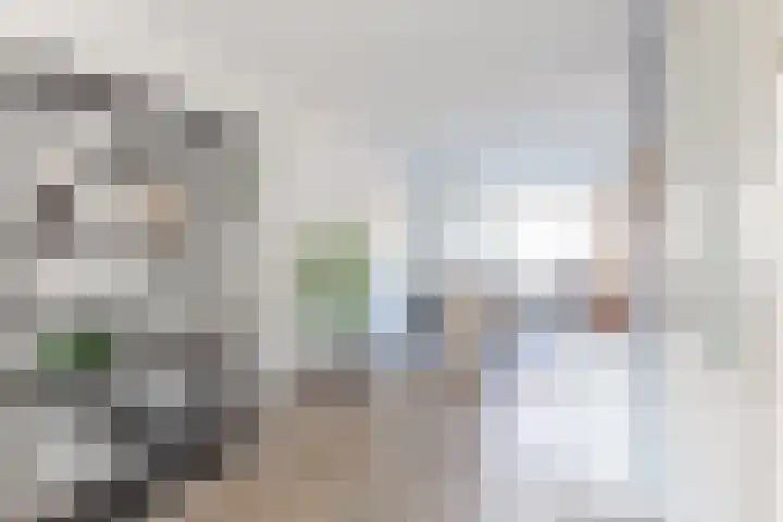 Kalmoes 2 Drachten thumbnail 13