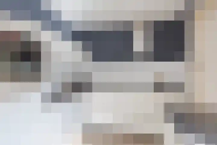 Kalmoes 2 Drachten thumbnail 15
