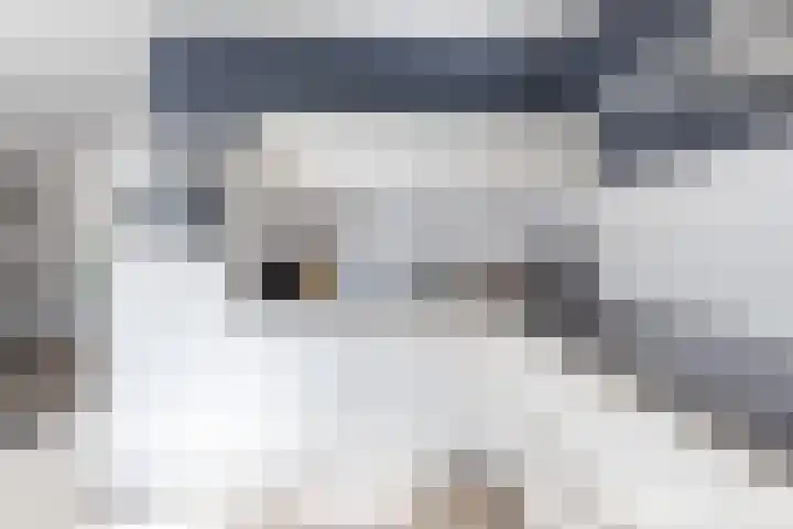 Kalmoes 2 Drachten thumbnail 16