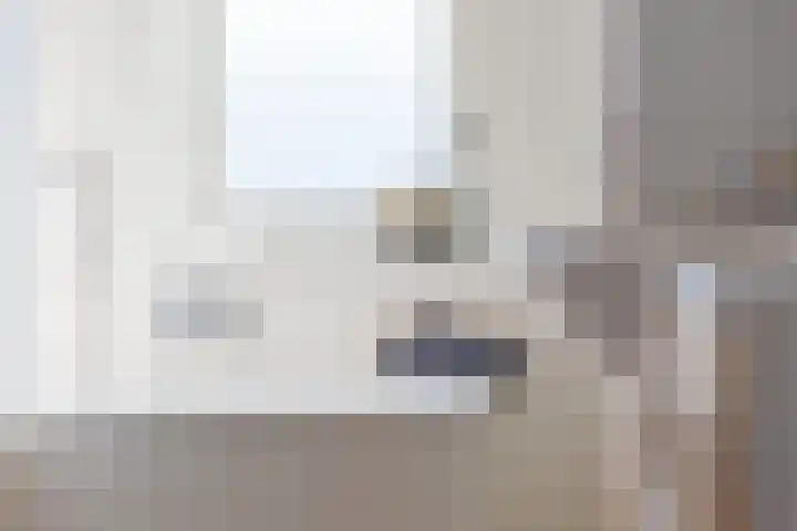 Kalmoes 2 Drachten thumbnail 27