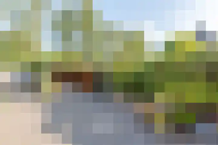 Kalmoes 2 Drachten thumbnail 38
