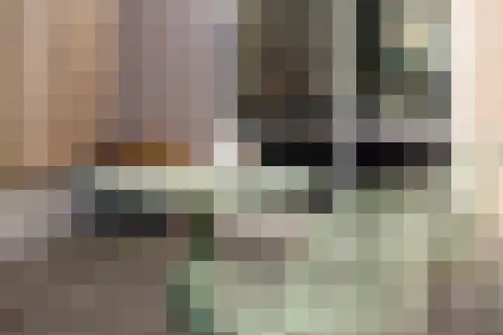 Kalmoes 2 Drachten thumbnail 39