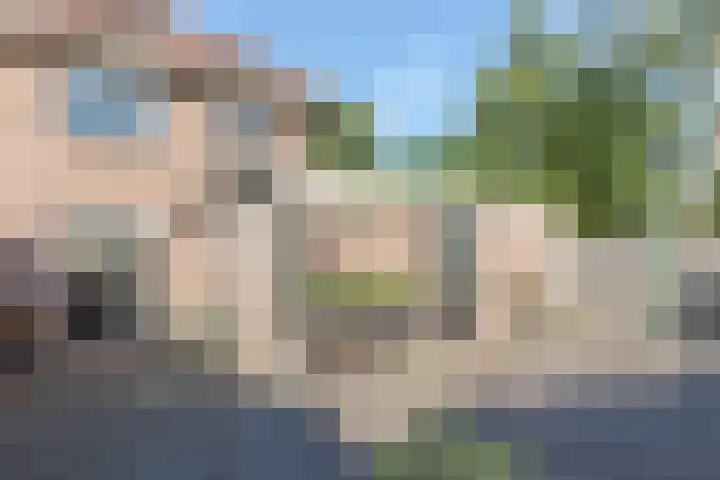 Kalmoes 2 Drachten thumbnail 42