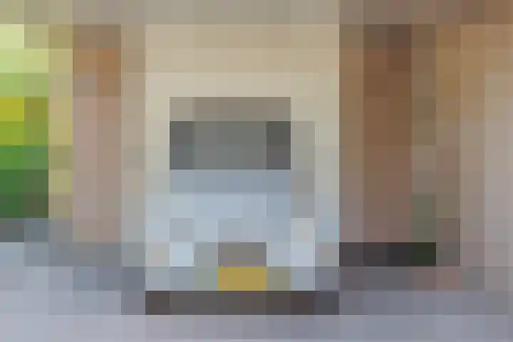 Kalmoes 2 Drachten thumbnail 43